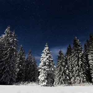 无遮无挡插逼逼免费观看视频网站
