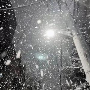 无遮无挡插逼逼免费观看视频网站
