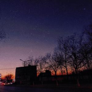 无遮无挡插逼逼免费观看视频网站
