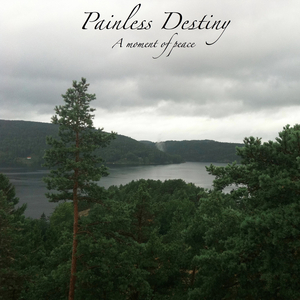 无遮无挡插逼逼免费观看视频网站
